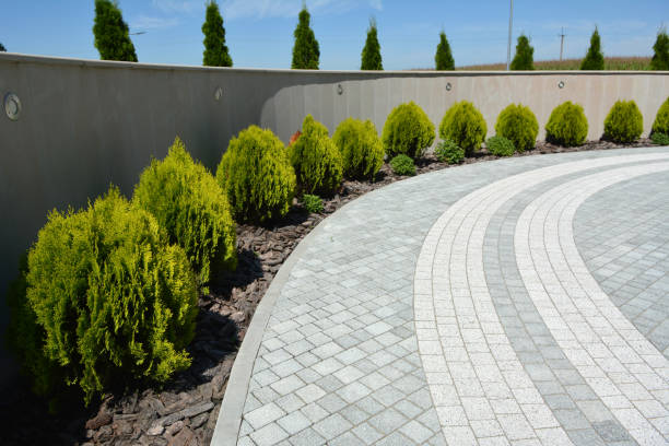 Best Brick Driveway Pavers  in Pine Bluff, AR